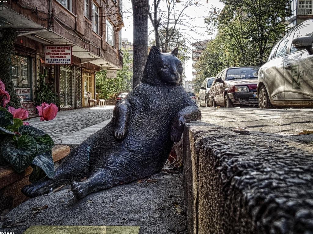 lv855: ការត្រួតពិនិត្យនិងយុទ្ធសាស្ត្រសម្រាប់អ្នកប្រើប្រាស់